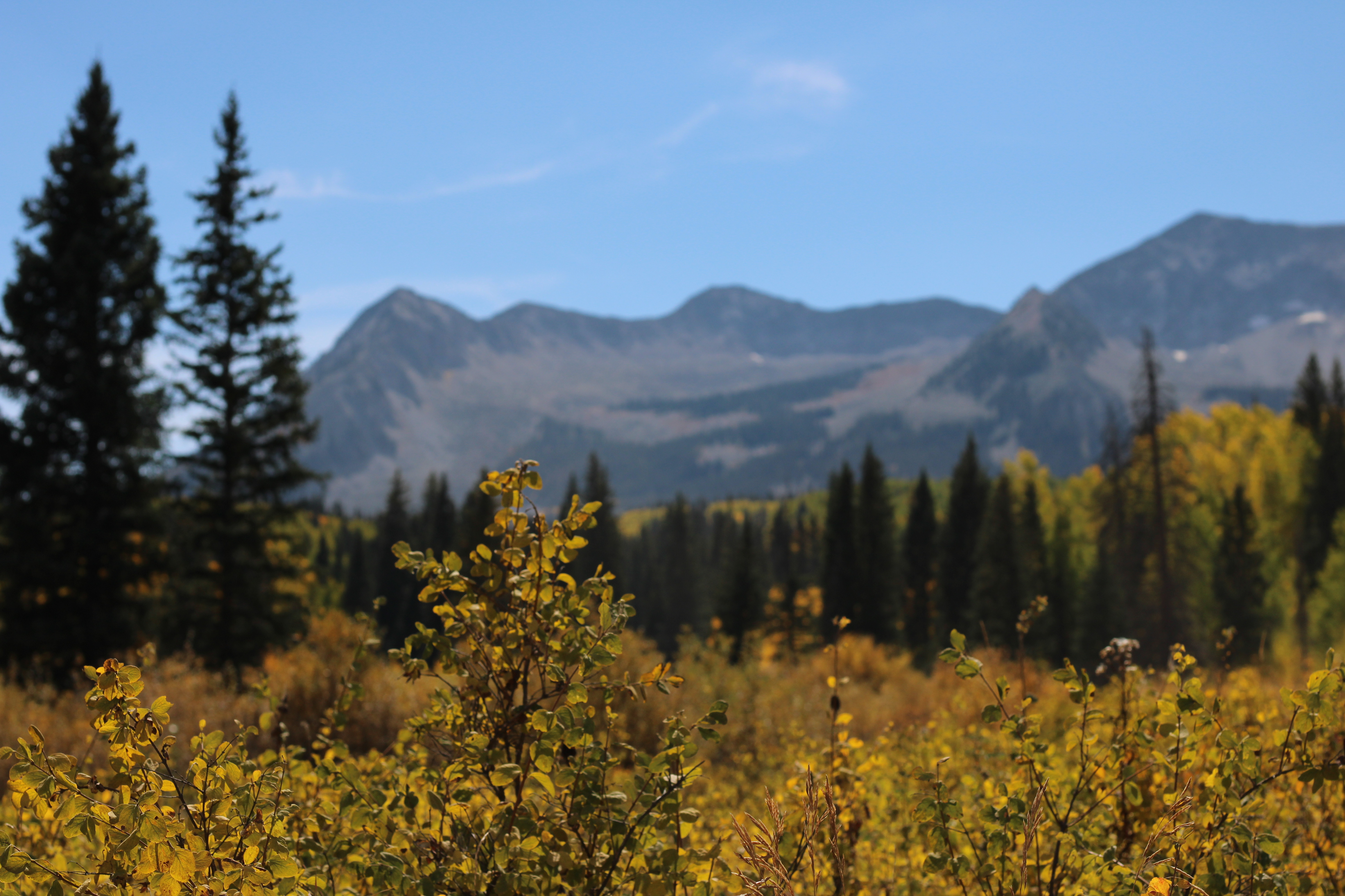 Colorado Mountain