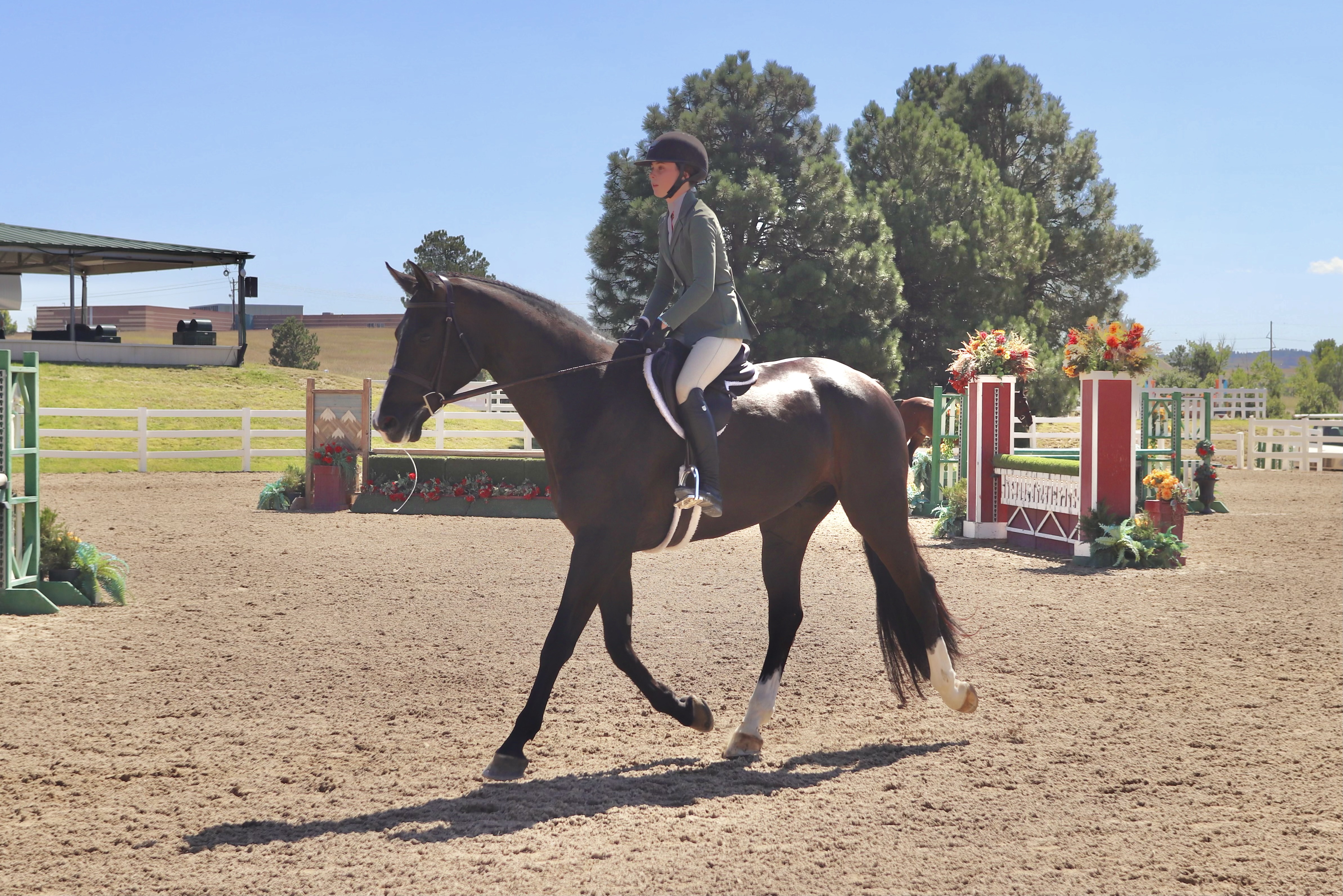 Horse Show Pic