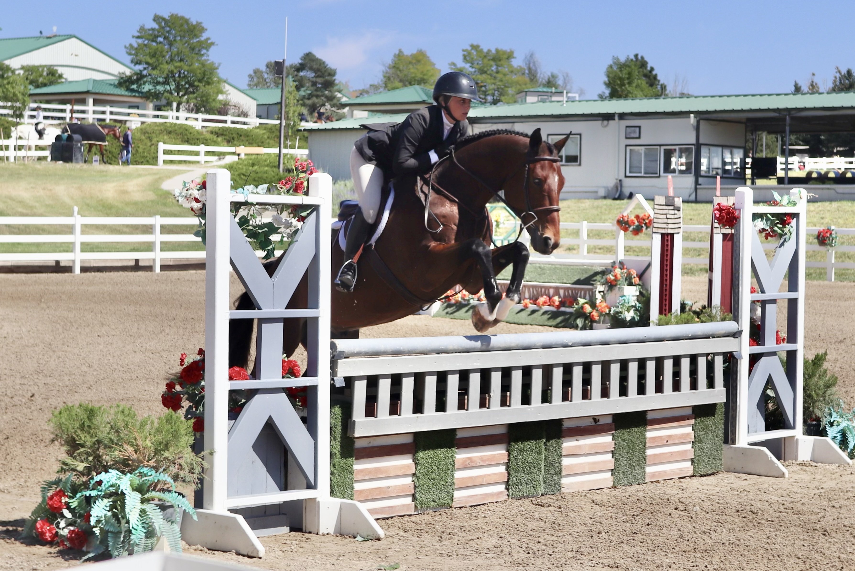 Horse Show Pic