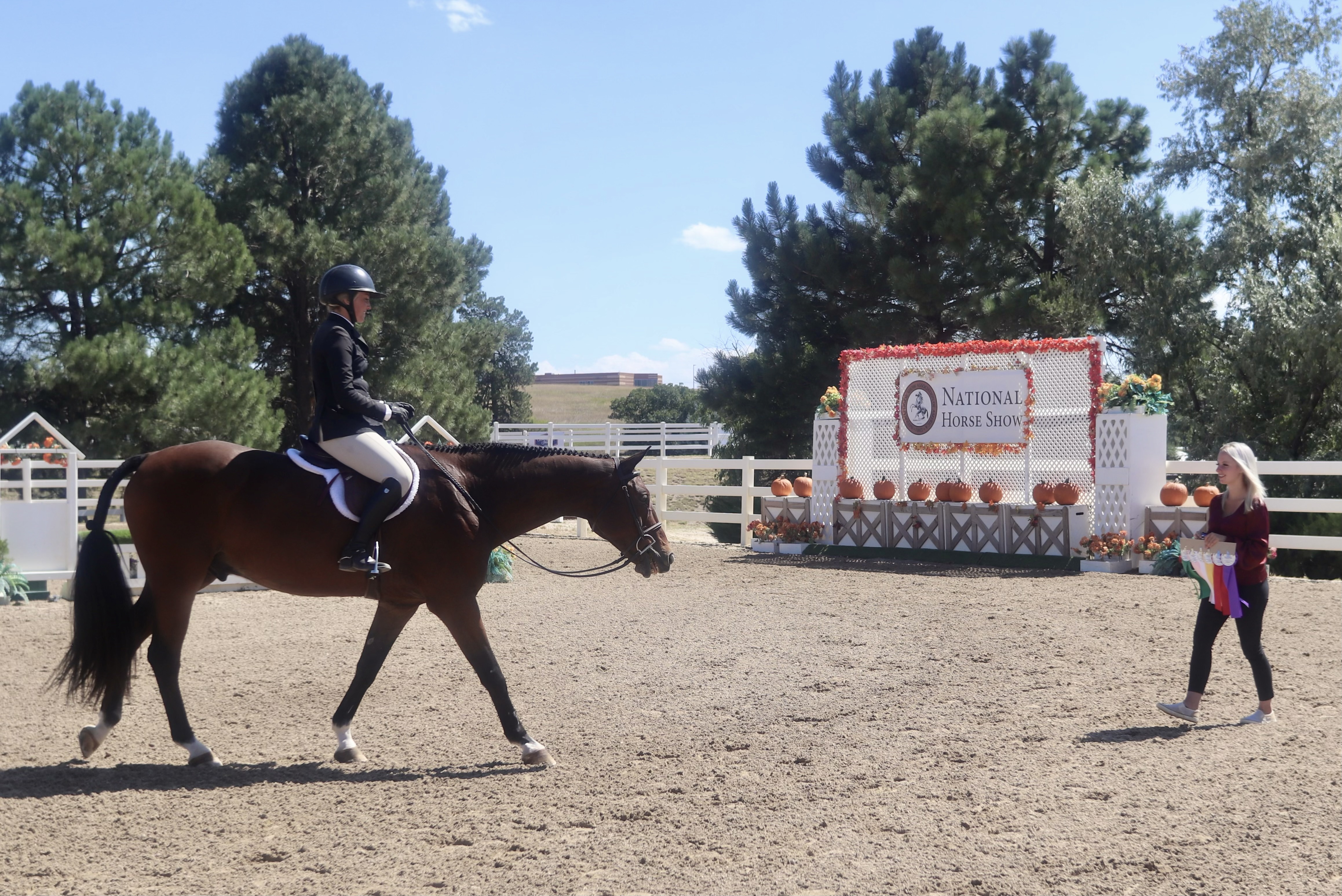 Horse Show Pic