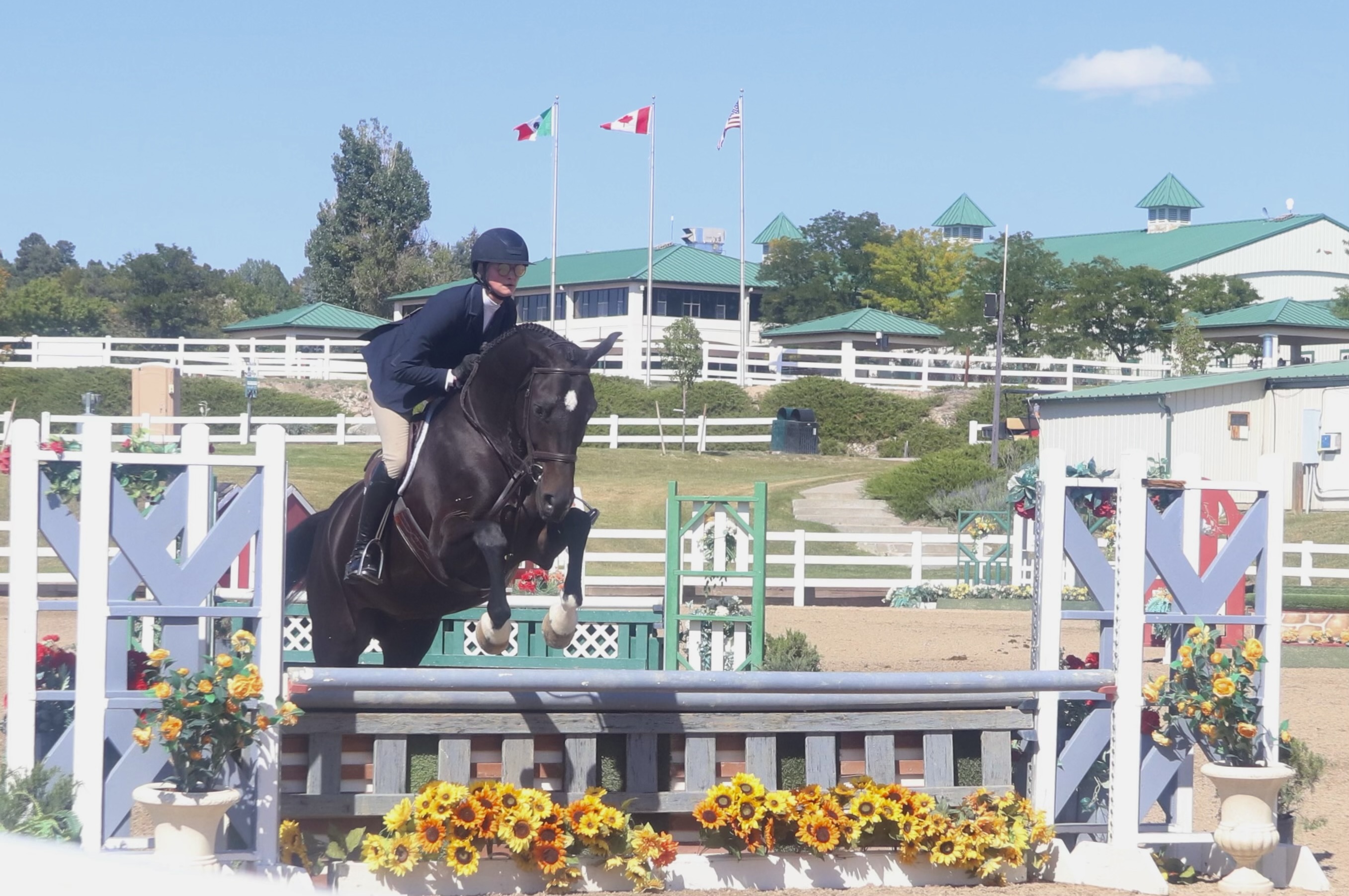 Horse Show Pic