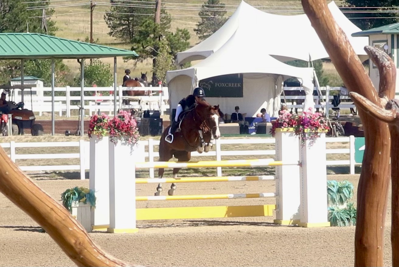 Horse Show Pic