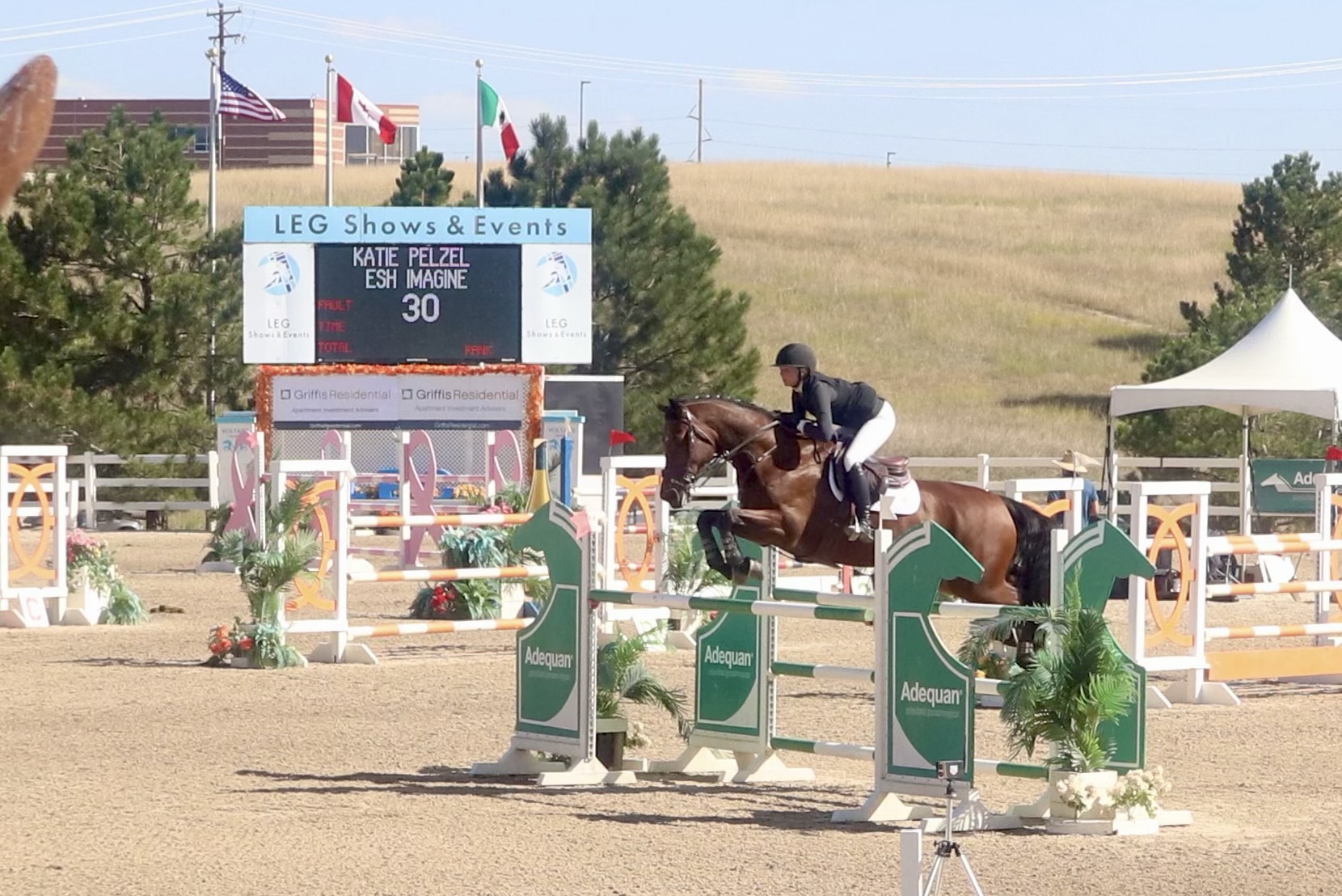 Horse Show Pic
