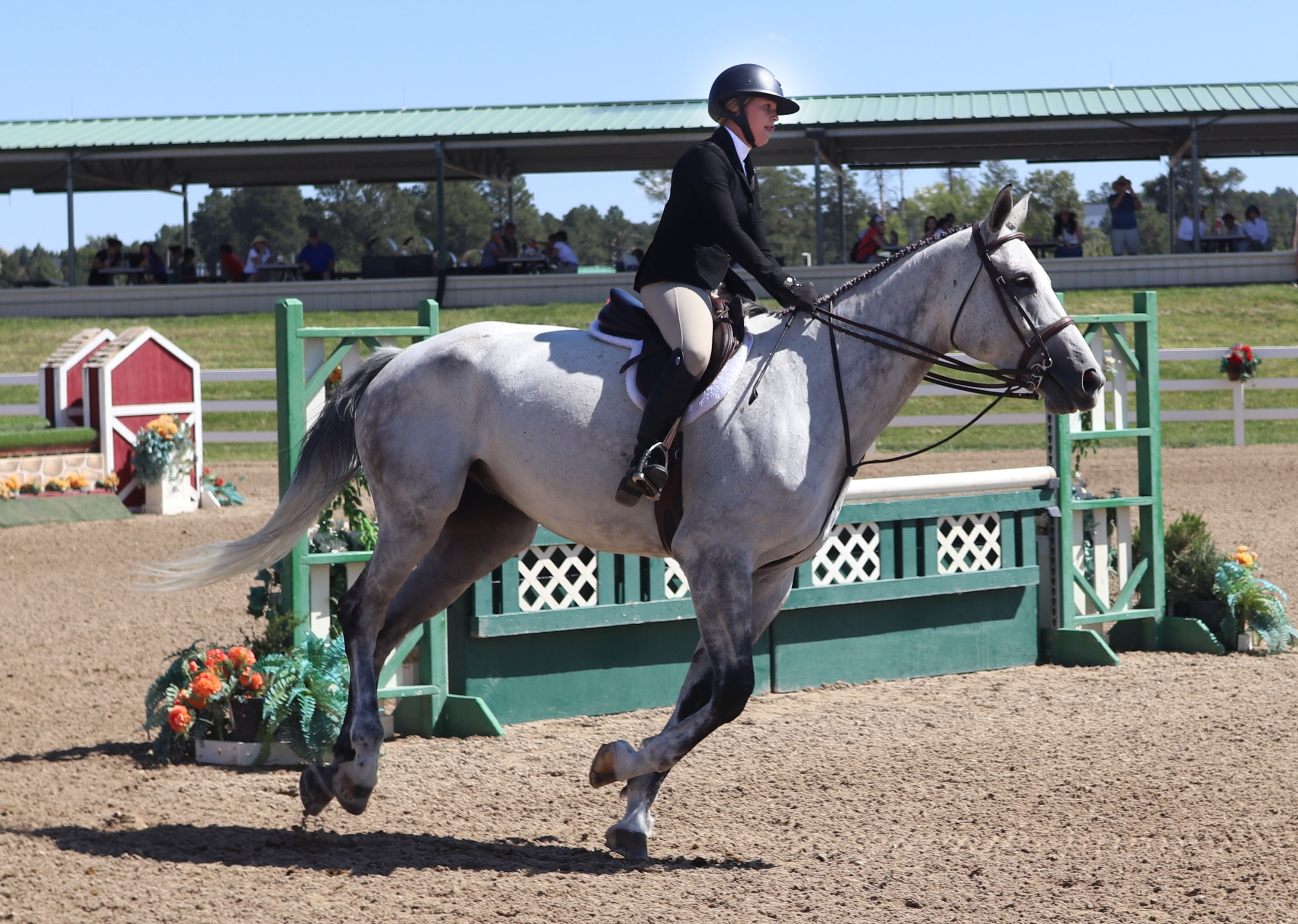 Horse Show