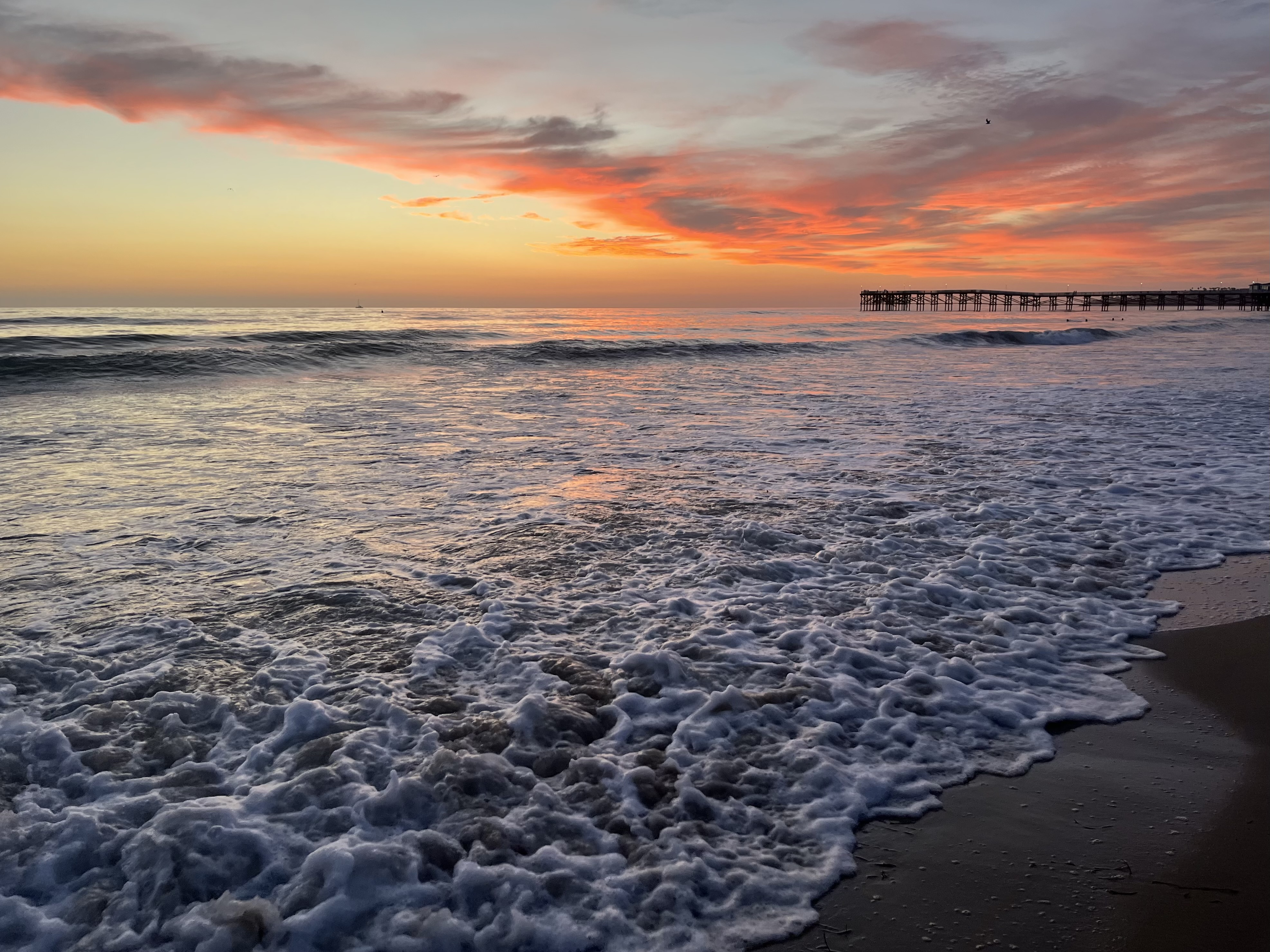 San Diego Ocean