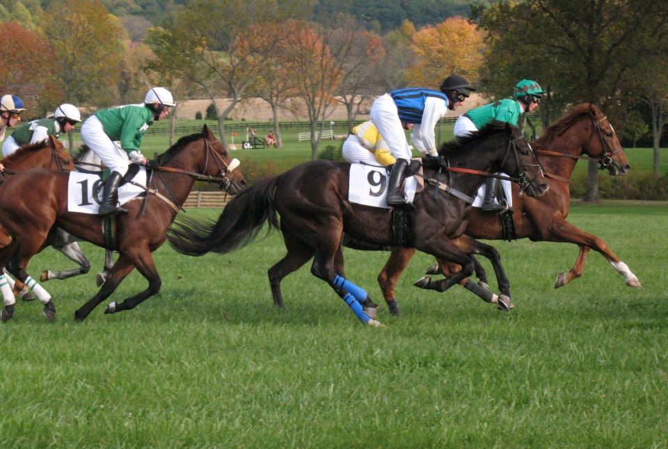 Steeplechase